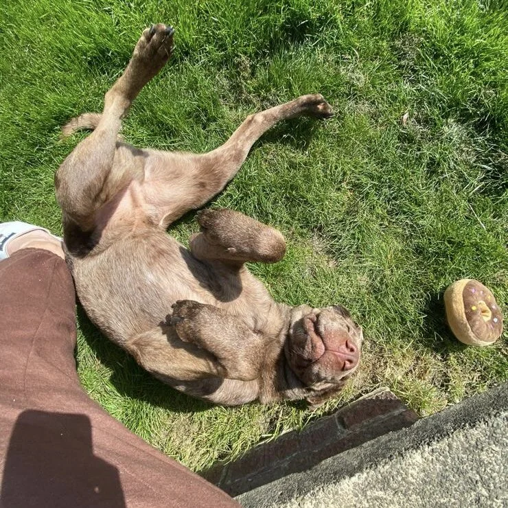 0F448C53-F134-404B-A12B-BA0DB0D8D345