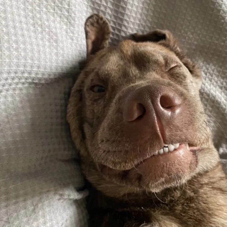 F7CA56F7-0C6E-44C1-80B2-EB895A9448D3