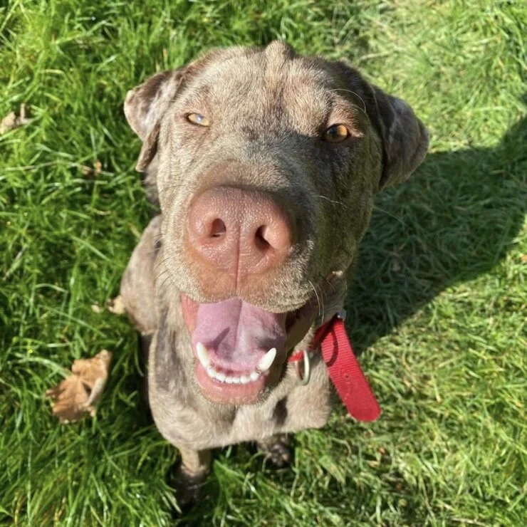 91EEB0B4-FBC4-48BA-9CFA-3C6E51C21D1F