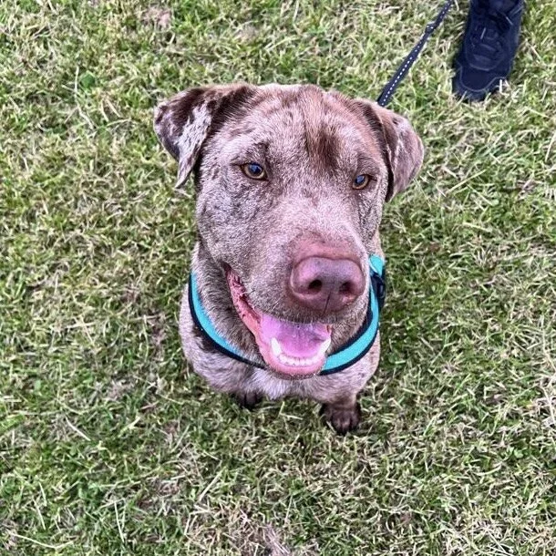 5B9D17E9-F232-4424-AA5E-0A0C3BEBF00E