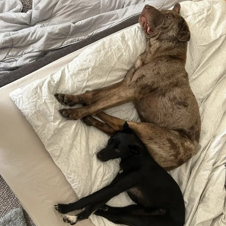 80FE6440-3A8B-42A9-89C7-CCC787AF05EF