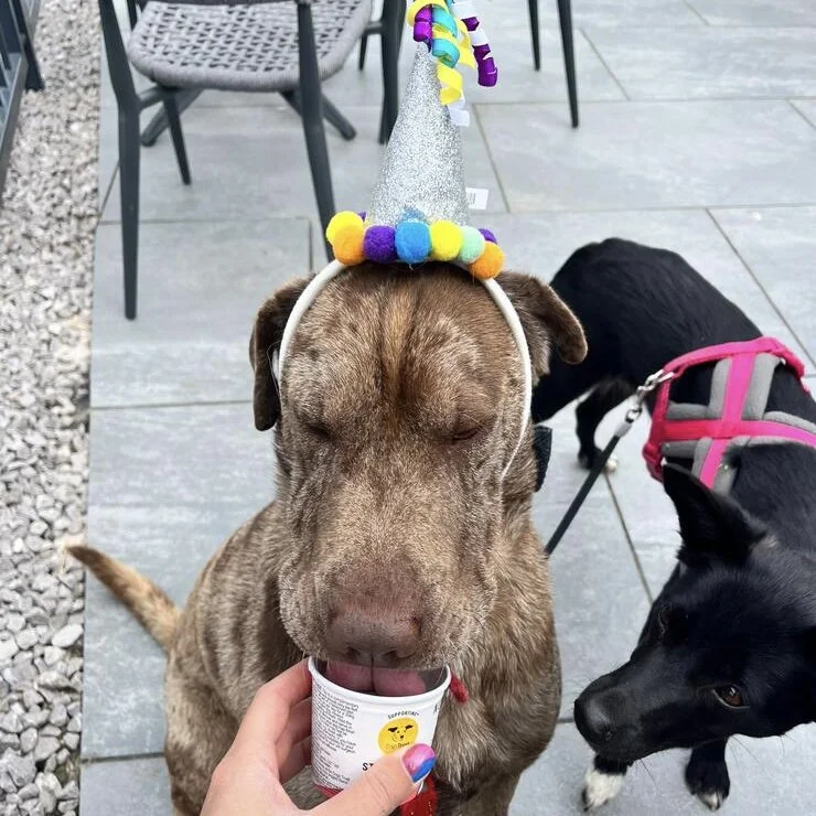 4384EB29-37F3-4CFE-A505-C3187182877C