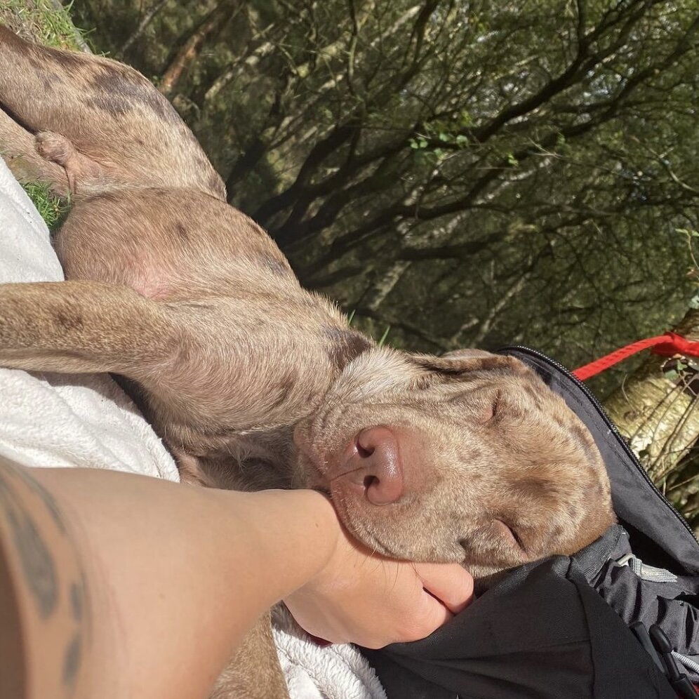 9A0DB165-9B57-4AC5-8402-CA427D96692D