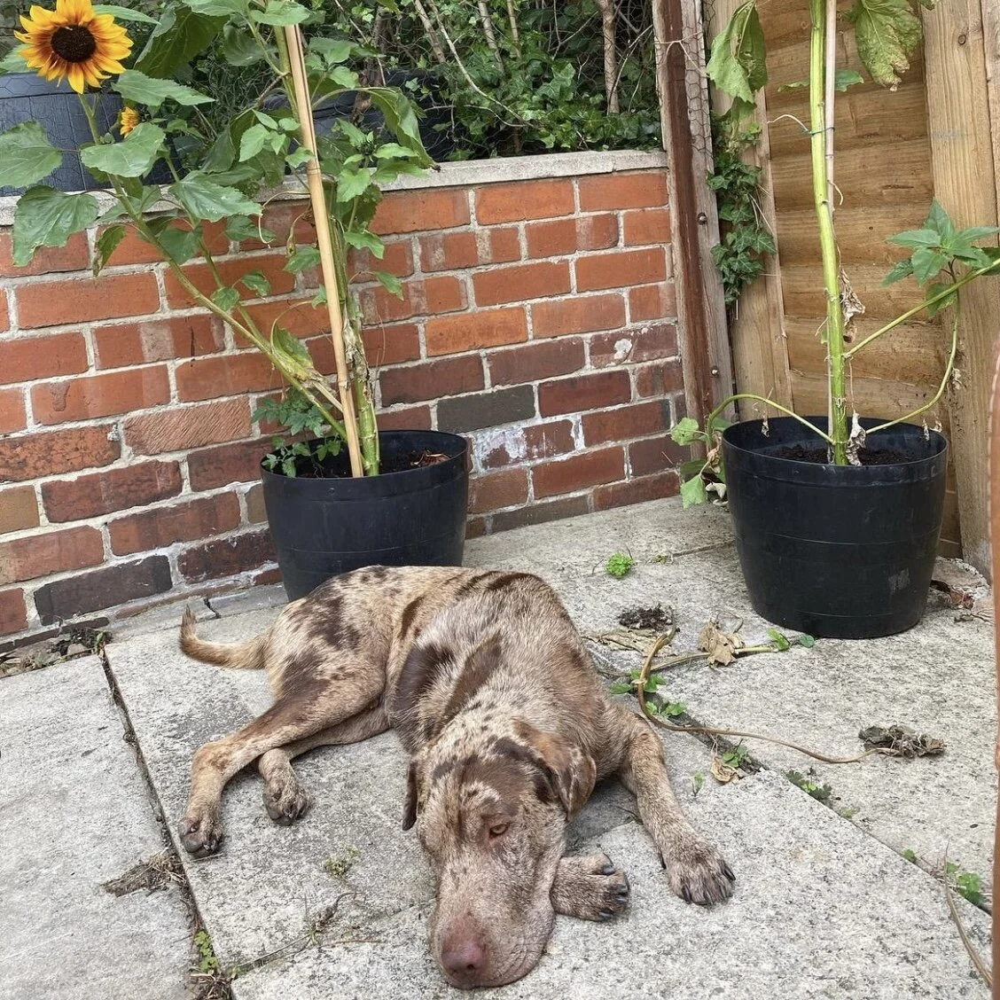 2F0C8BA1-0F8F-4F25-9261-BFEA1D5D5368