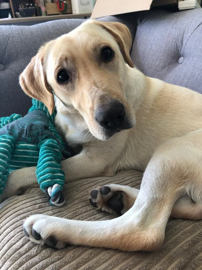 69F2F0E4-49B7-45B3-A7D8-D00CB29A45B7