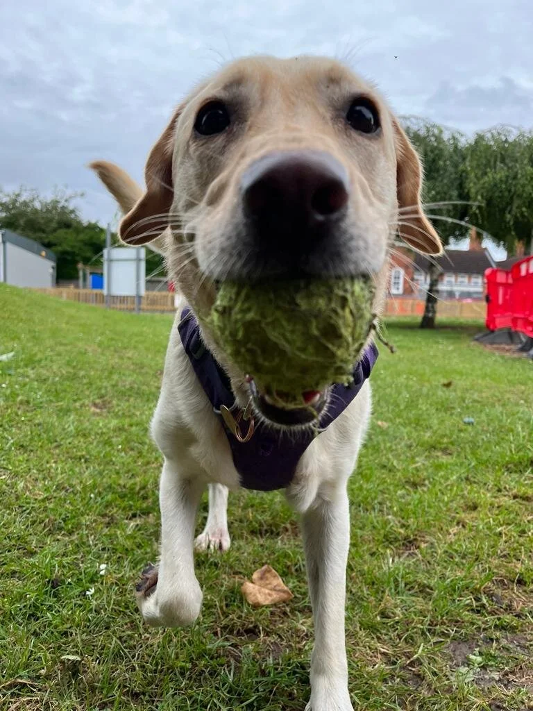 40EE1819-8535-4CF8-87AC-AF183076DD56