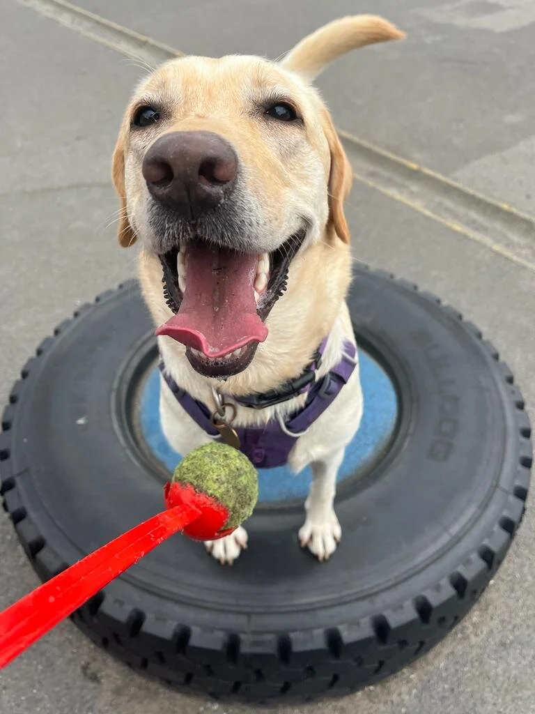 859EC452-BC3C-400B-B908-138834FDCB40