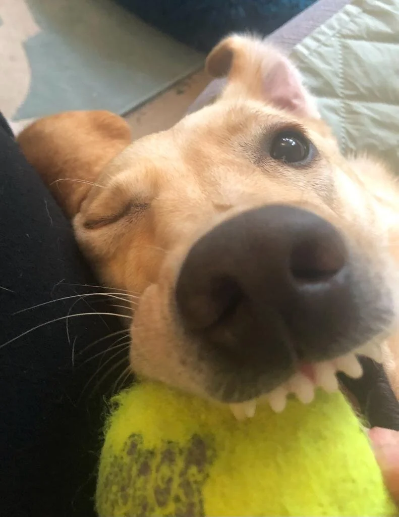 7D6CC9A1-C584-4A4F-B1C3-0309F22EC4E3