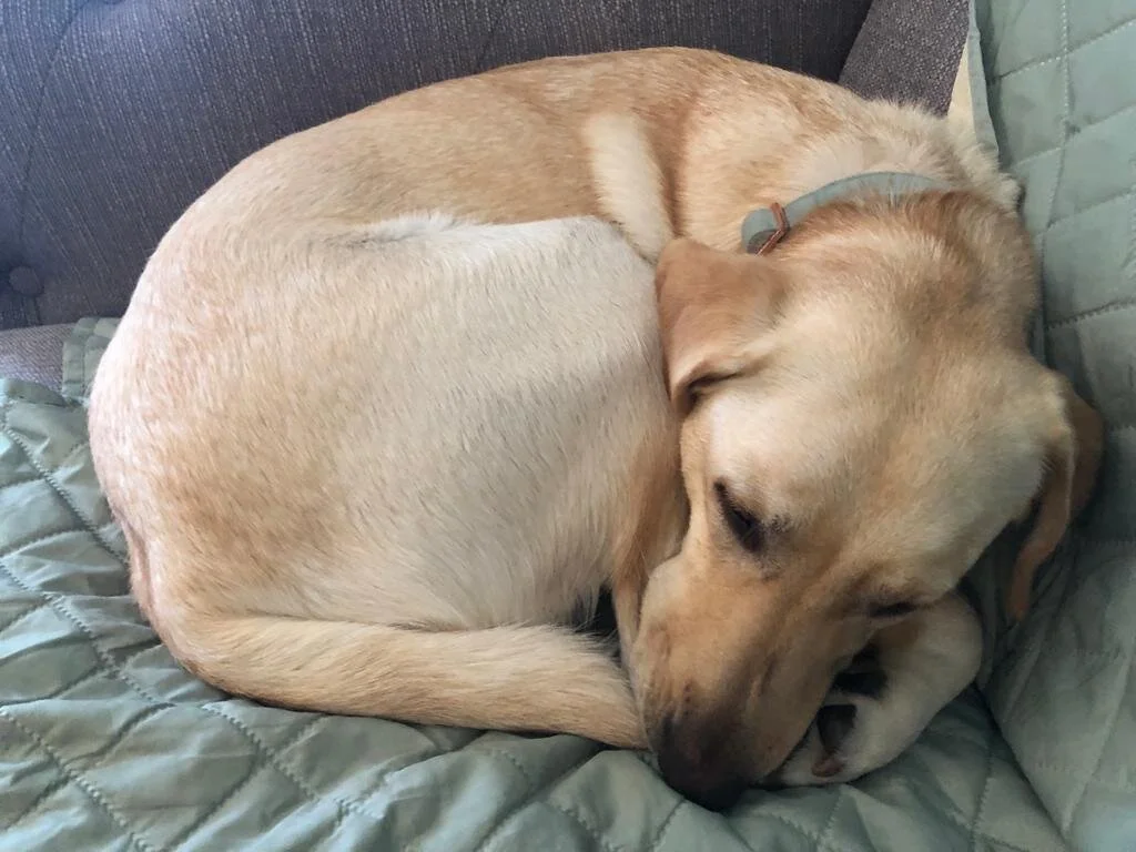 D9CAD116-AB29-48D8-8653-2B6EBAA01A19