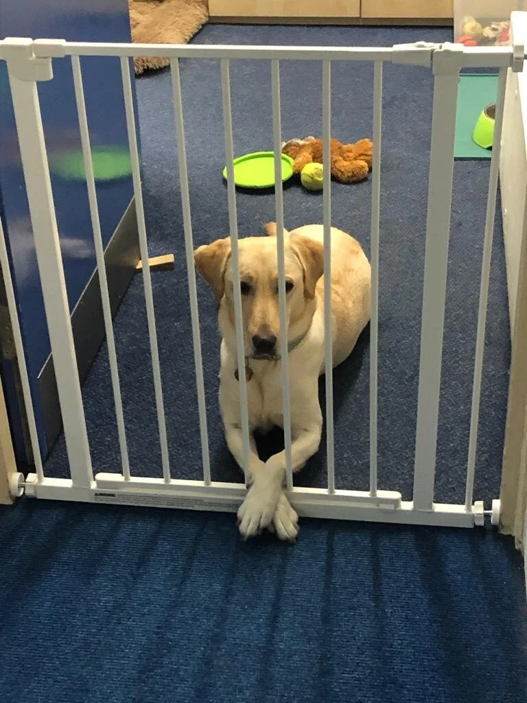 A2D0AC31-B950-4BD1-AF11-6354683D4A72