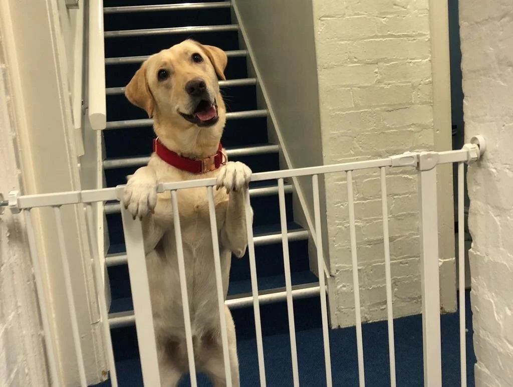 B6BFAC63-43EA-4F05-B940-1DC5D363E73C