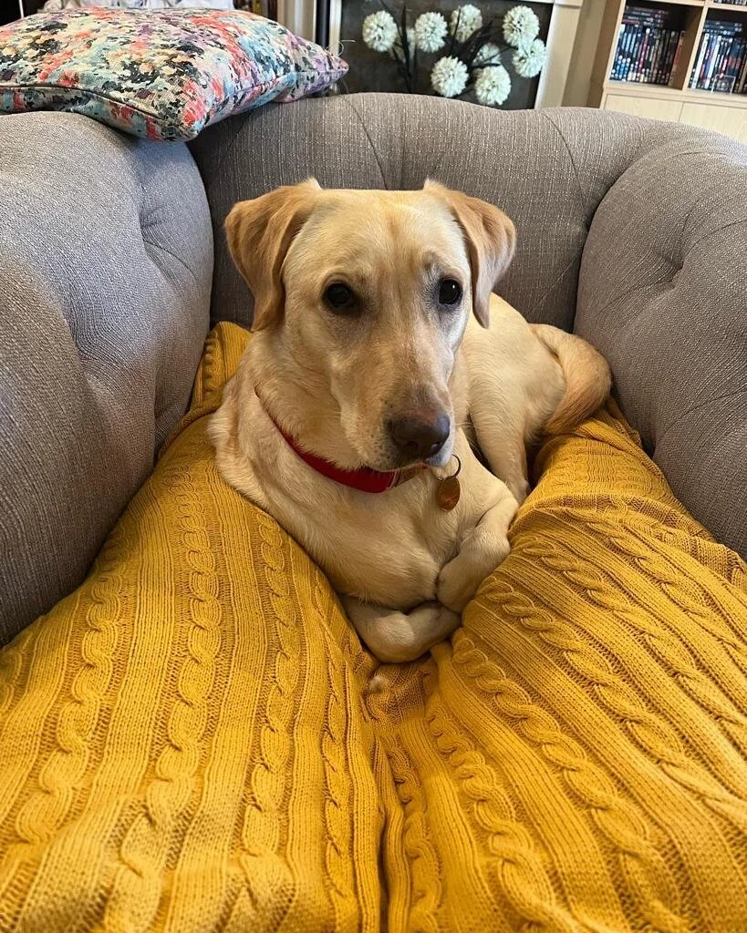 4D7DE667-8F14-461A-8649-2BDD5FF24547