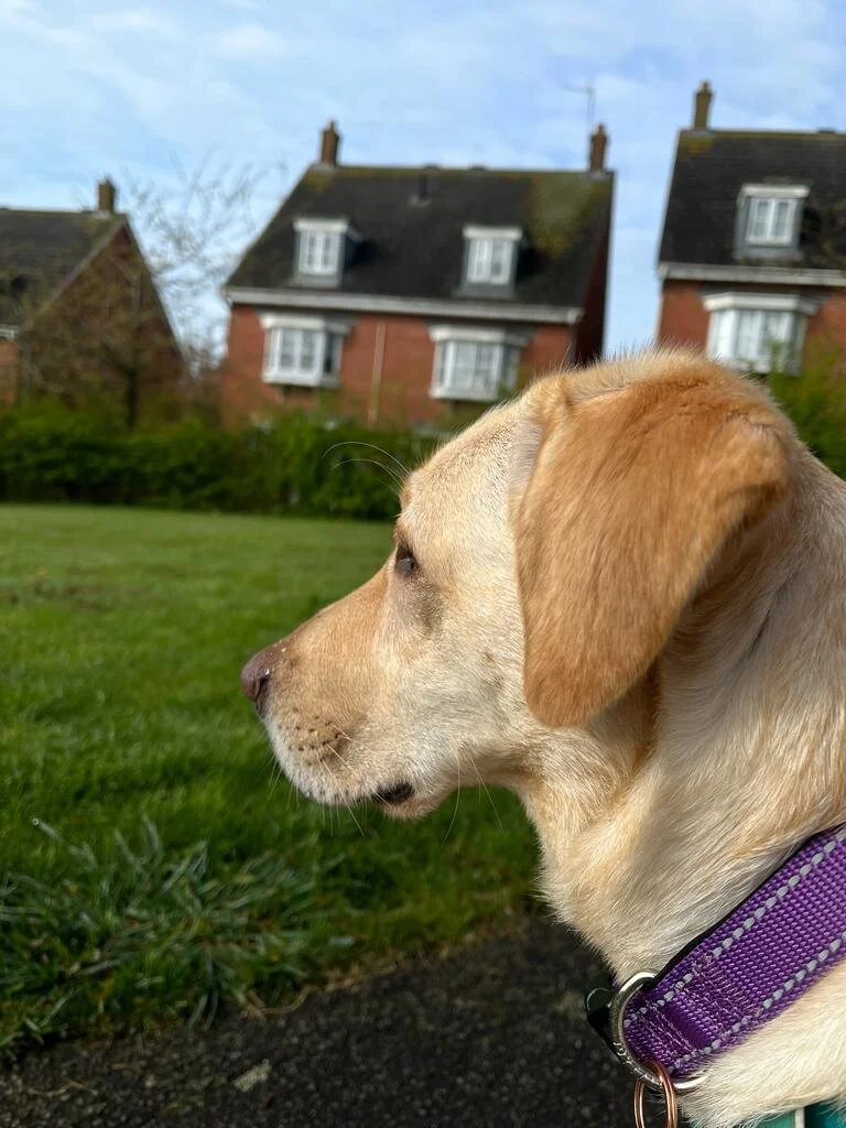 08AE373B-FB24-400A-AB3C-BBB357E972B4