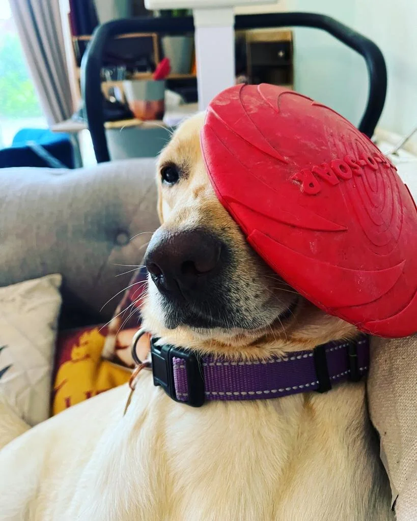 F50712AD-20F9-456A-9810-343CFCD910D4