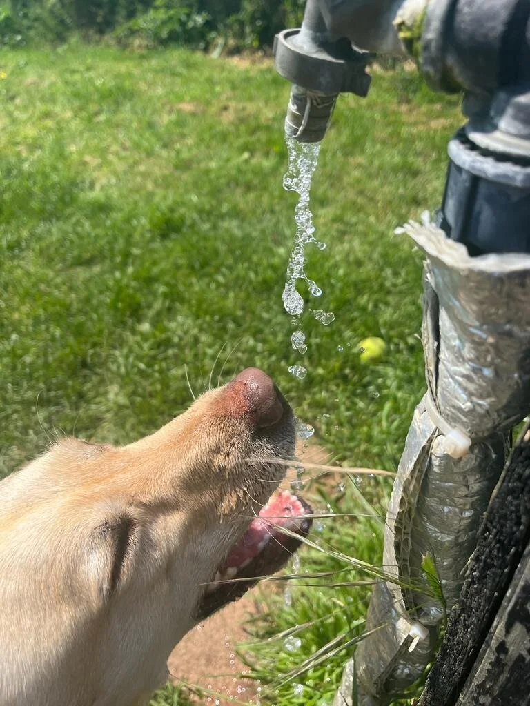 B64349F6-3C70-4B86-91C5-EBF18506D637