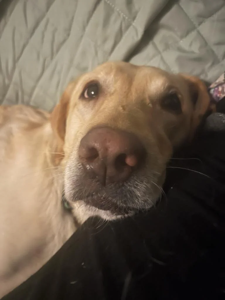 3762E924-BBEC-494F-BCA4-62107973C538