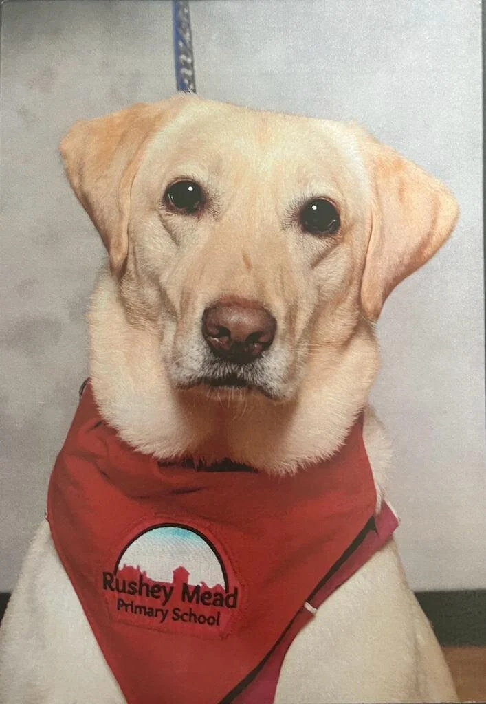 5DD1C63F-3131-4362-9131-3E89BB7EB9B6