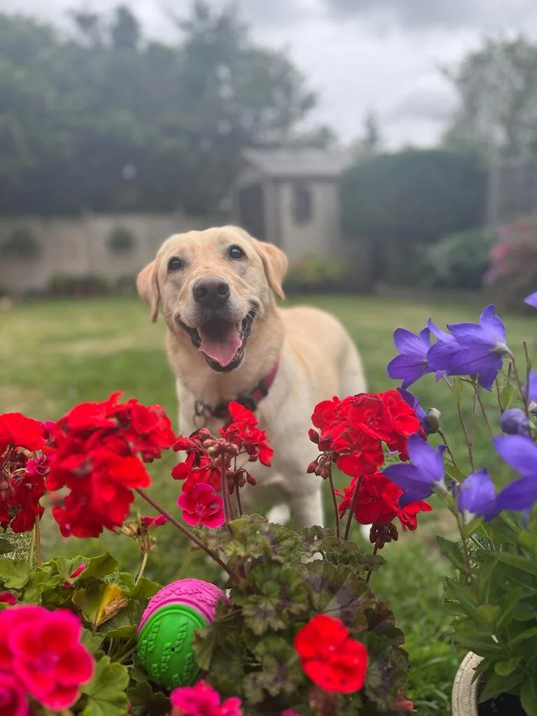 D9E5567F-7837-4884-962B-C0BF73BE329C