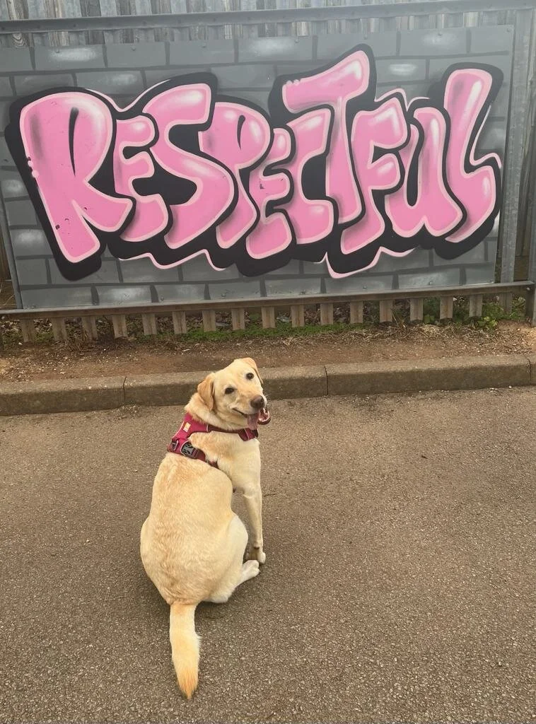 5AC4FD4C-11C5-4BE2-A661-5654826972EE