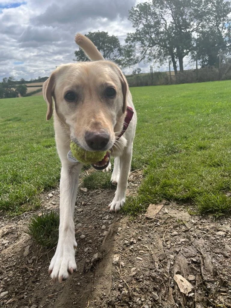 62D71FD0-196A-406F-84D9-115E1B160BF7