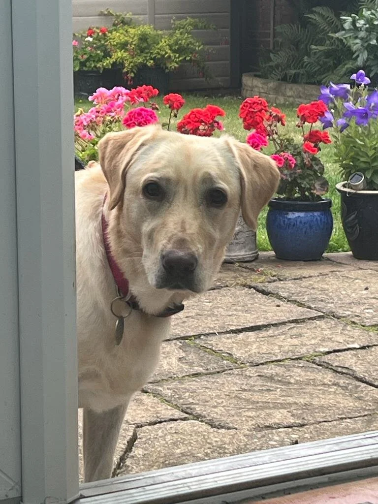 127A01E2-C80D-47A6-AF94-4BB9FB589F12