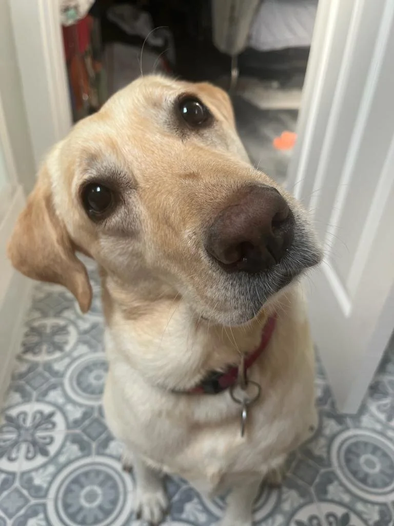 C2D815E7-E118-4E04-8F7D-B905B0180666