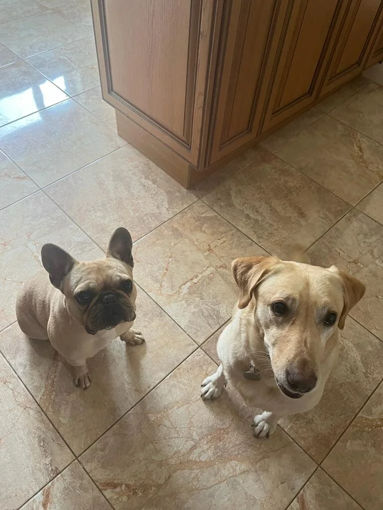 C47DD227-8130-4B1F-8E53-FDCE0DB479B9