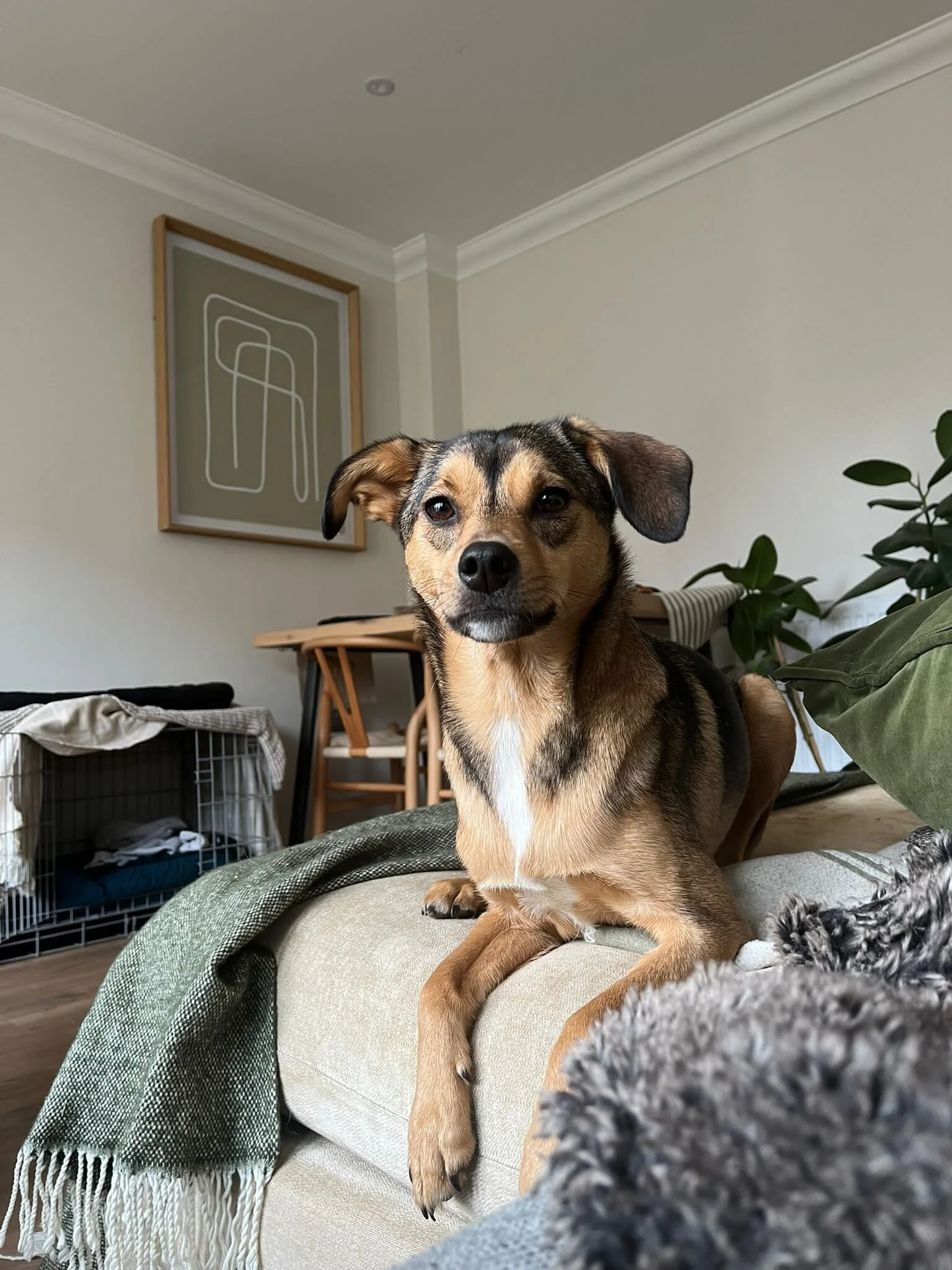 75CE6E3C-93CD-48D5-9FE4-91C8325AA762