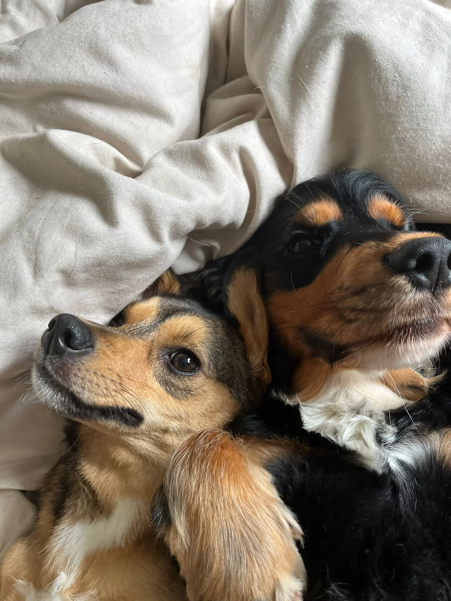 241D02AF-BE7F-4BA6-B6BF-3EE335FD1BC7