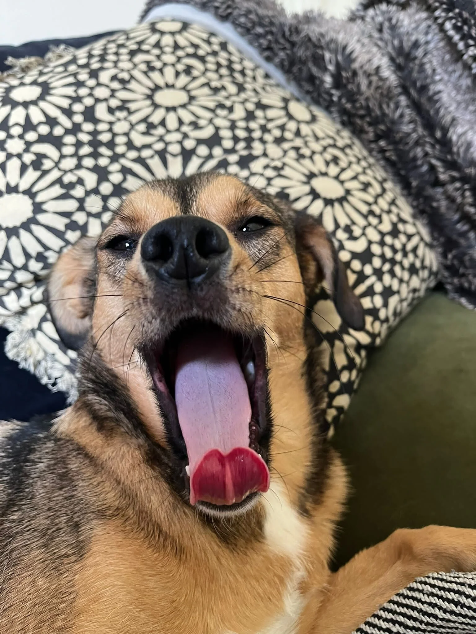 52DCC51B-DD46-48DD-B6EB-CDD4A1A5E3B0