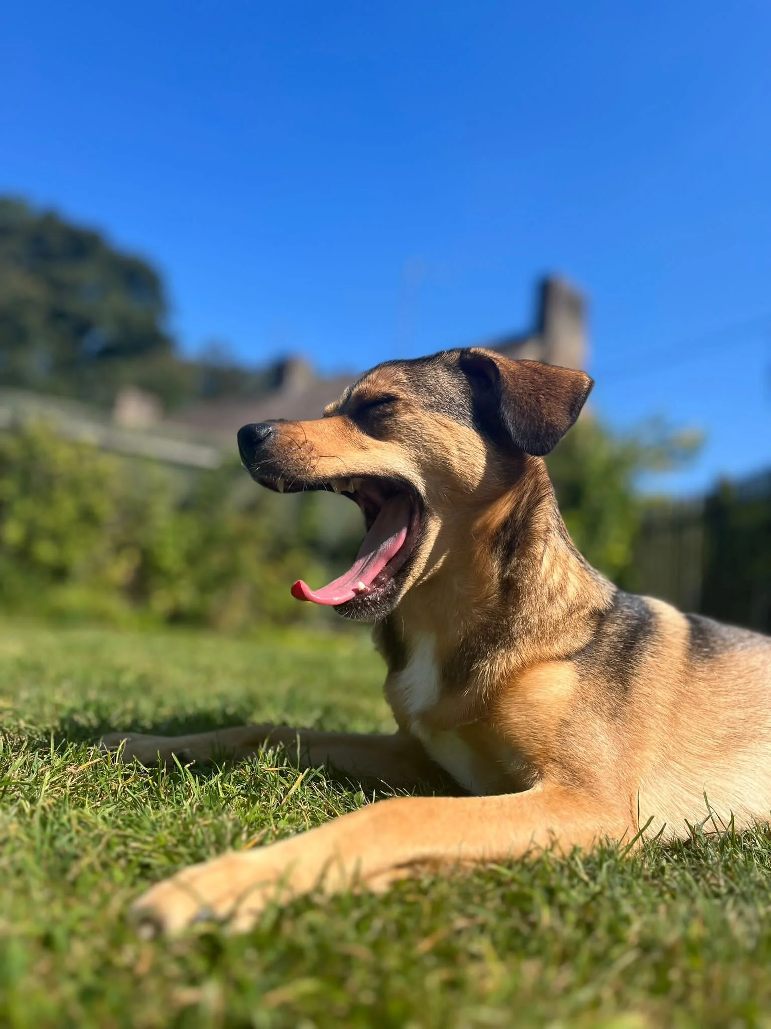 102F259C-7129-45F8-8A5B-E15793FCFA0B