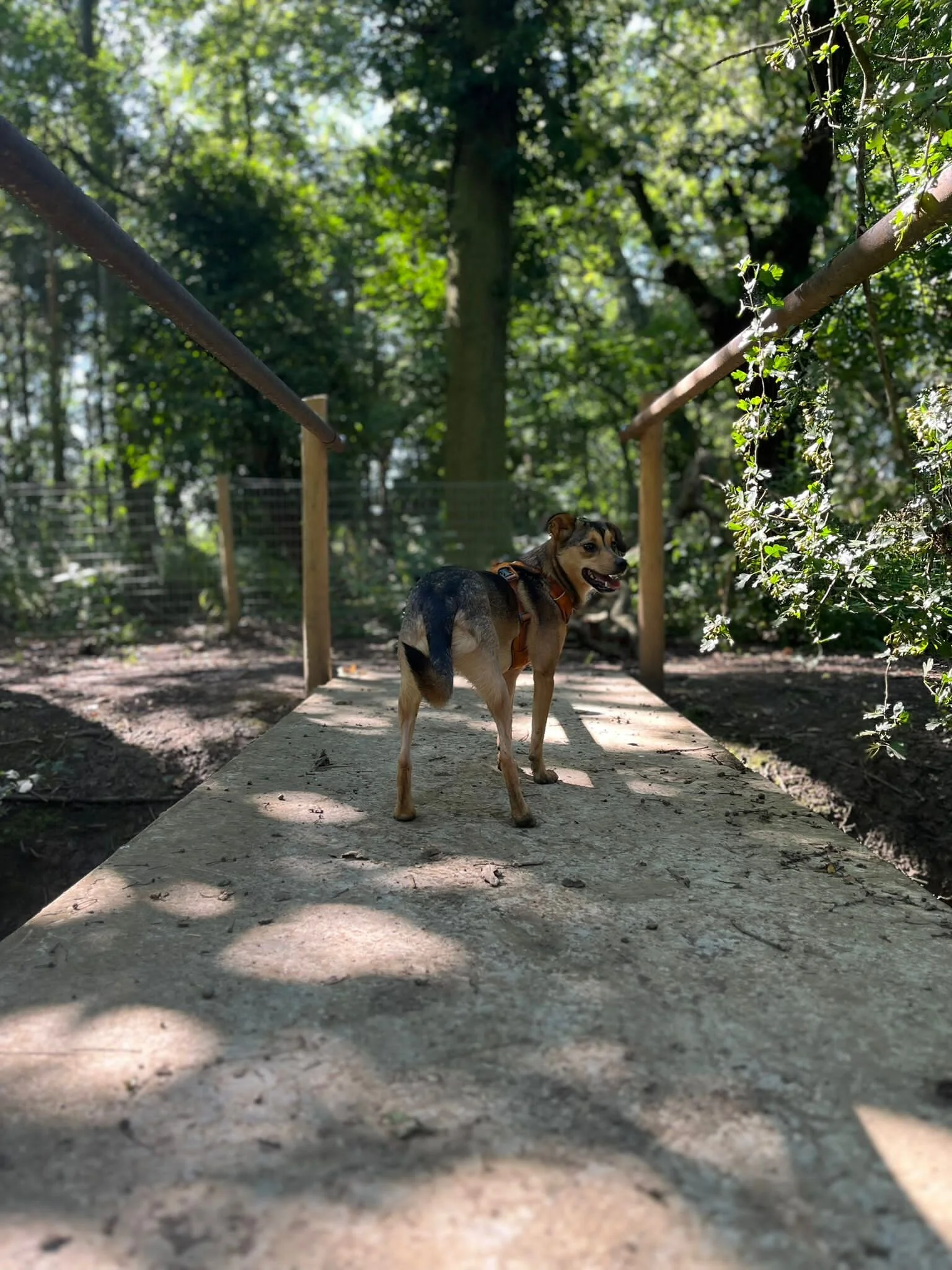 7532EF30-D101-4810-BE76-34C74E70024D