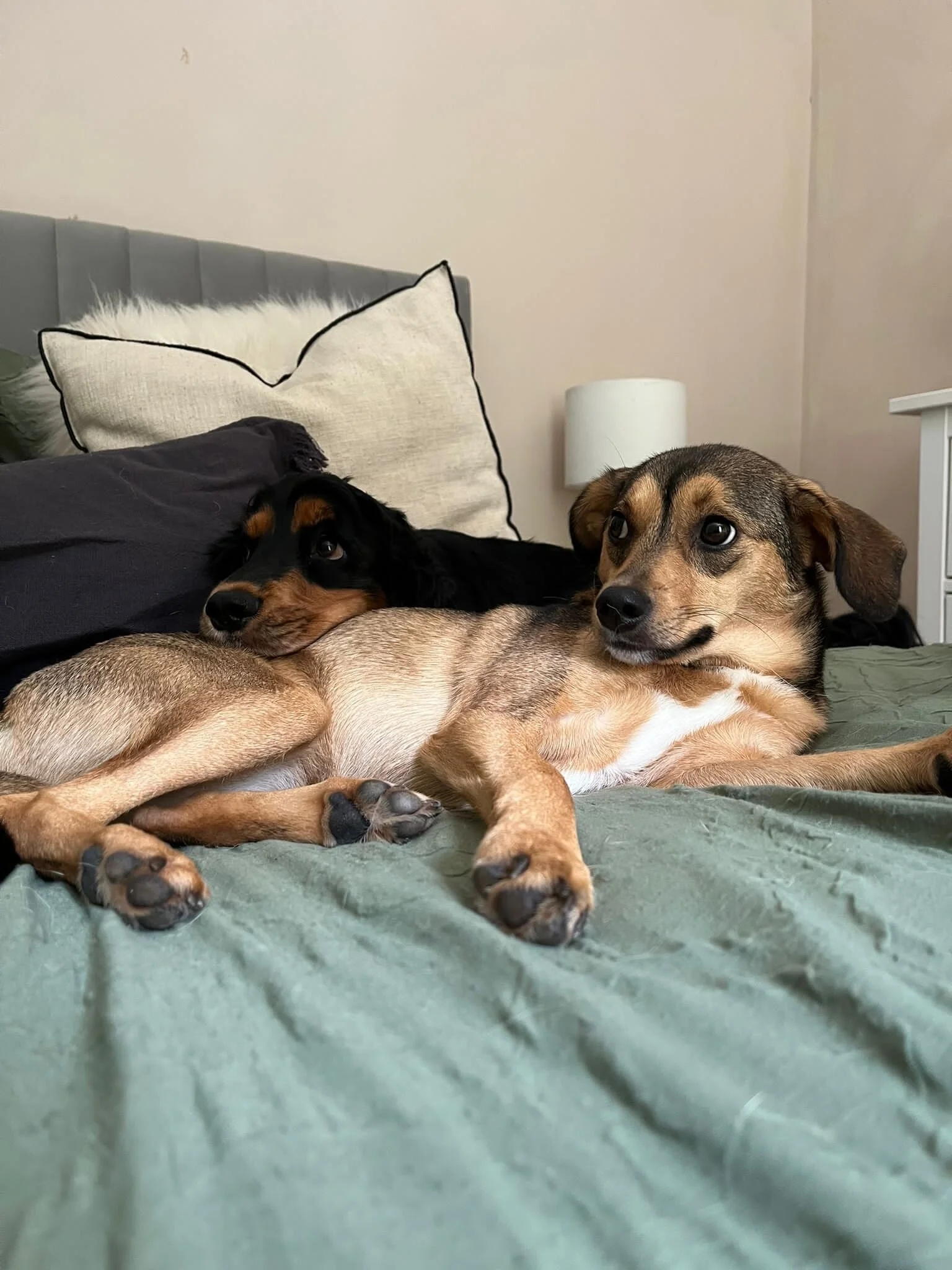 C1845870-EC84-48A2-96D0-044A46616B7E