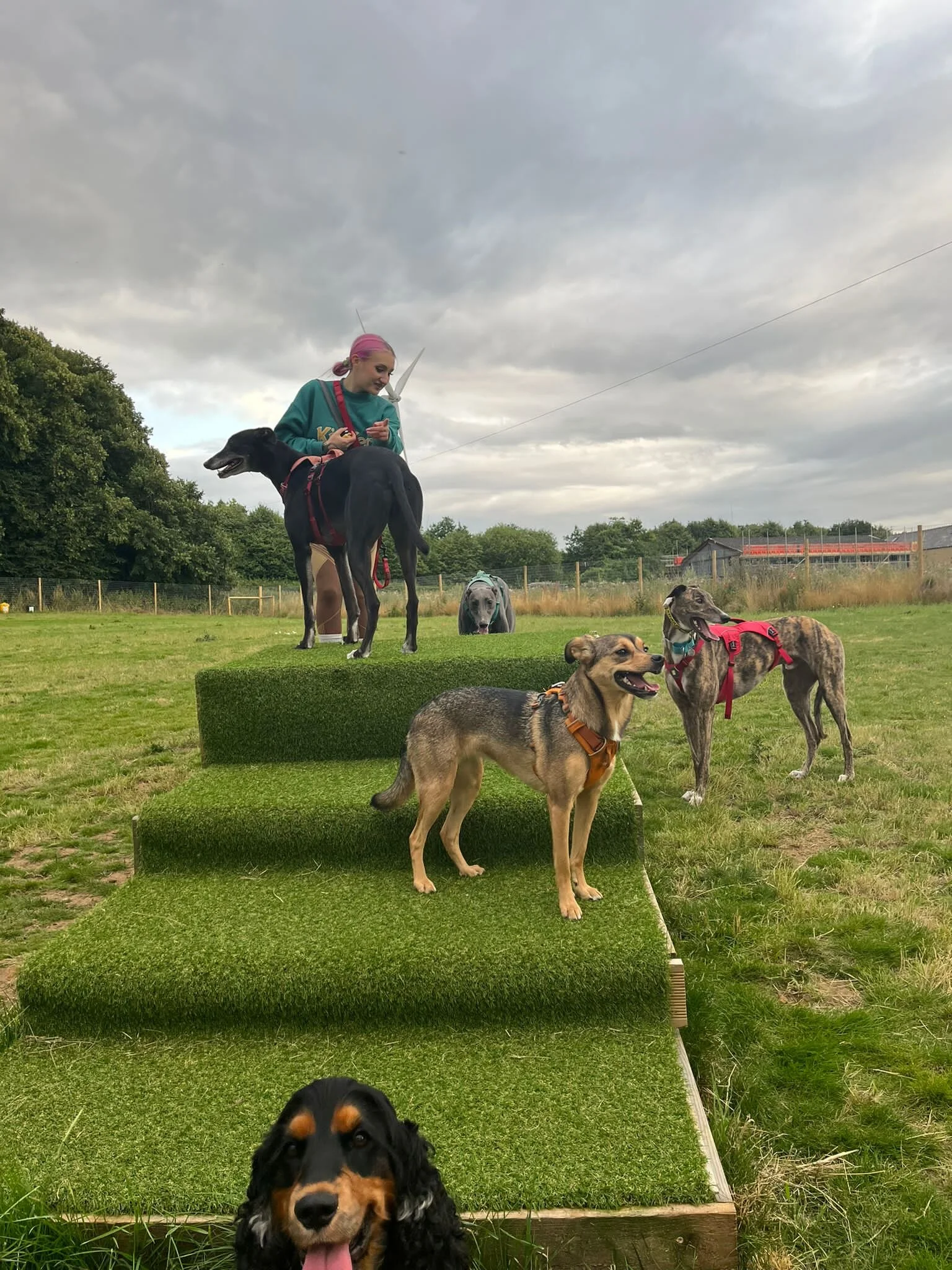 01500484-5E12-4F6D-B22F-E487DDCE5890