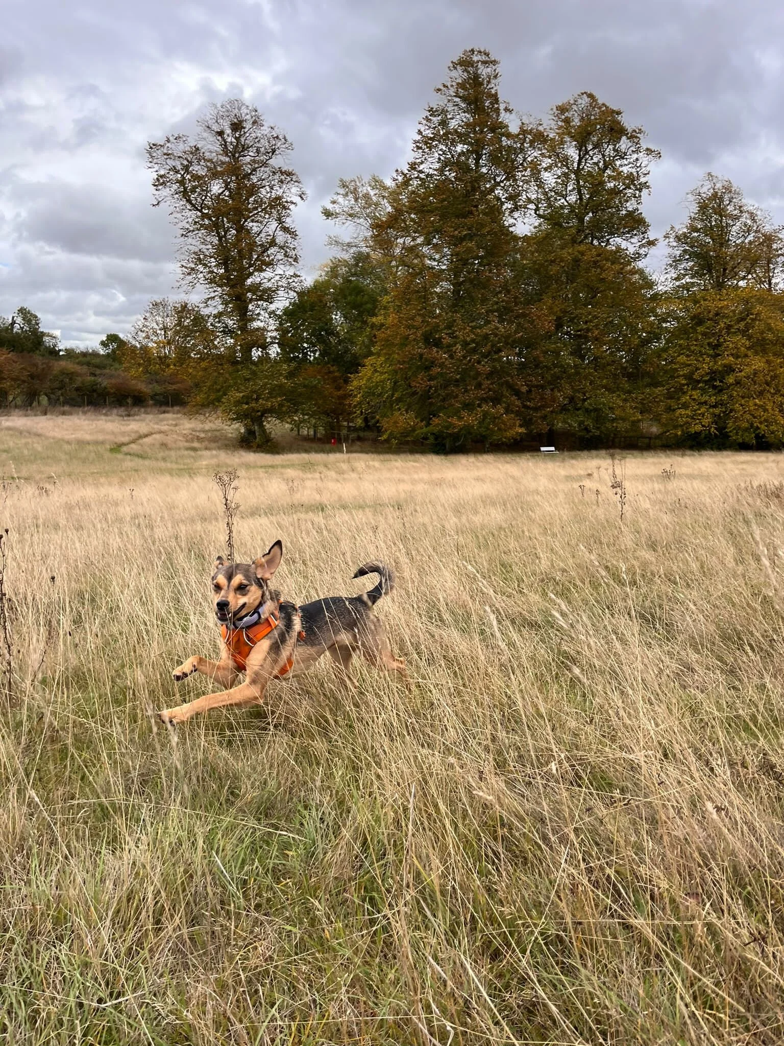 ECF24D82-10EE-4DD3-99CC-4D1CAA669D31