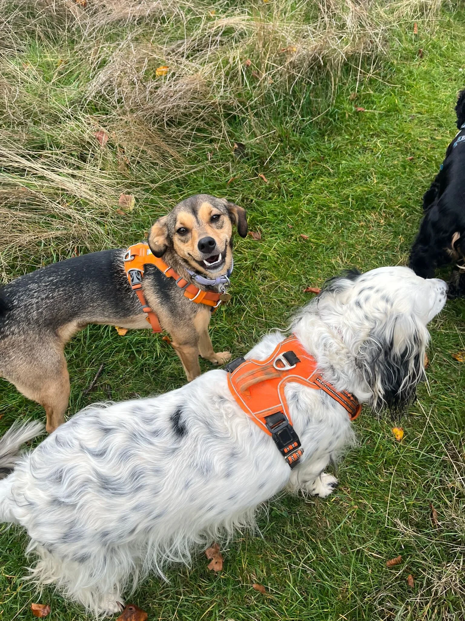 6C926281-A72F-4863-92CE-BBFFBAF72C1A