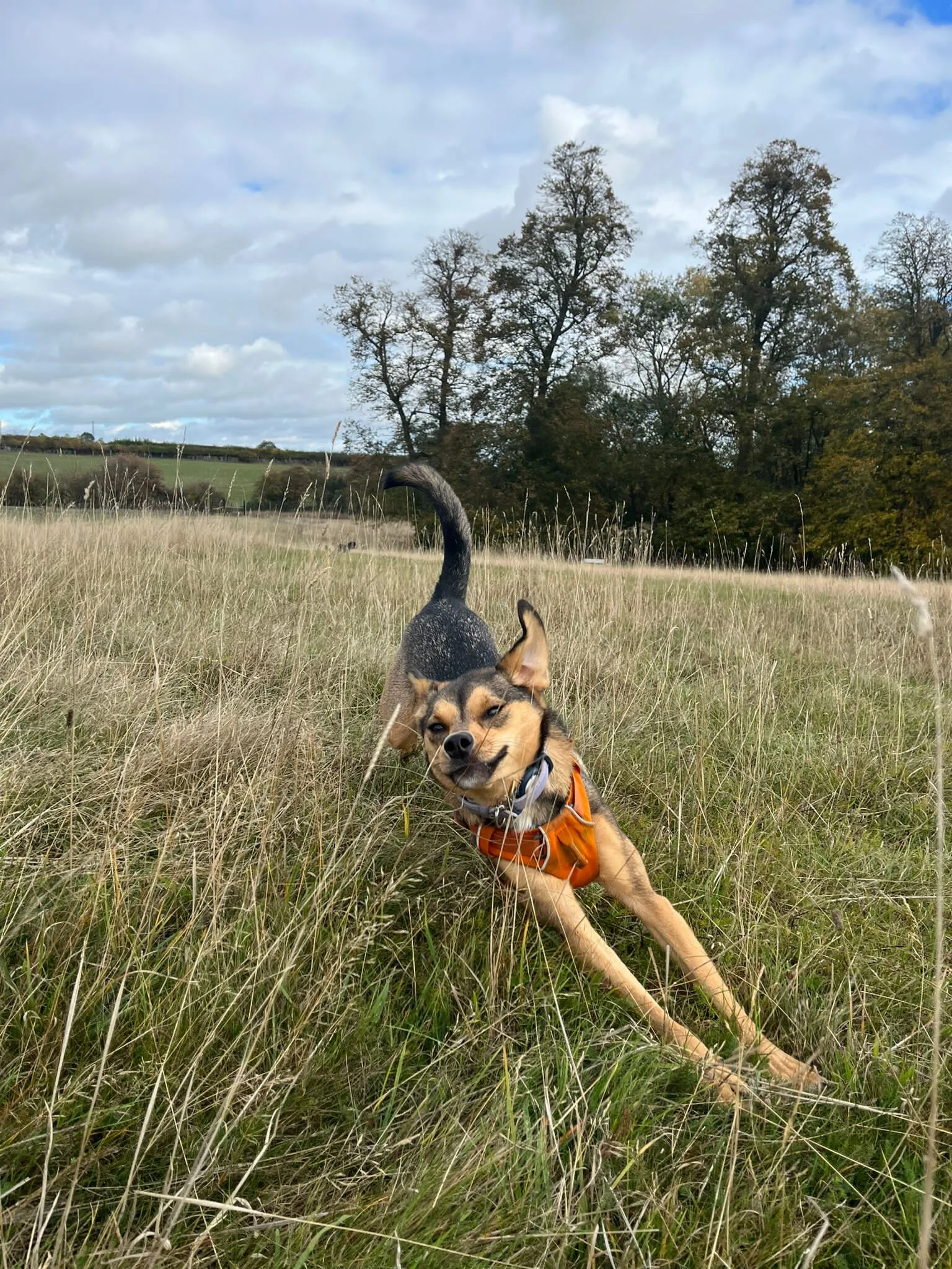 BFCC9431-0E8C-4262-88EF-0E012B7D4336