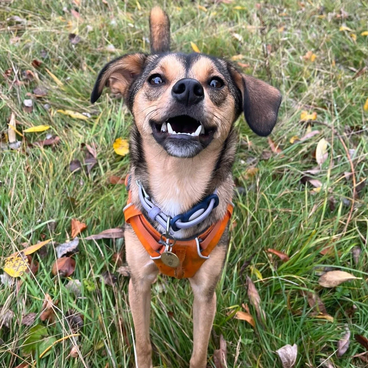 43E05F77-A920-4FF6-8652-972474594EBC