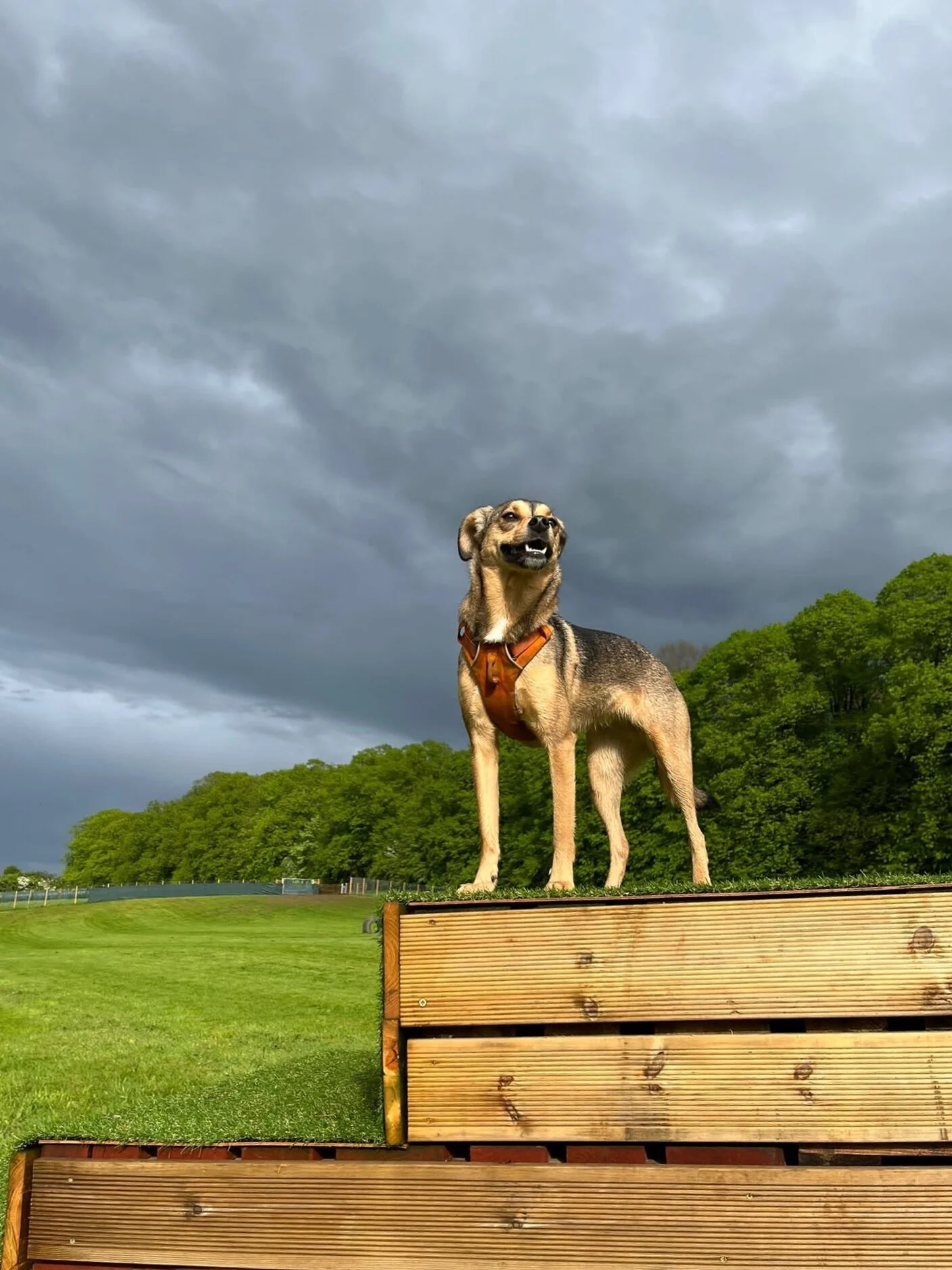 B79A6239-405C-4027-87B3-EE83A4088FC4