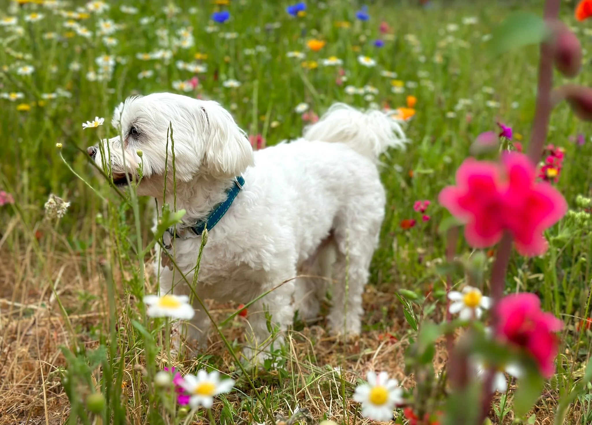 73F4BAF5-A0F0-45A8-B411-1910595E4157