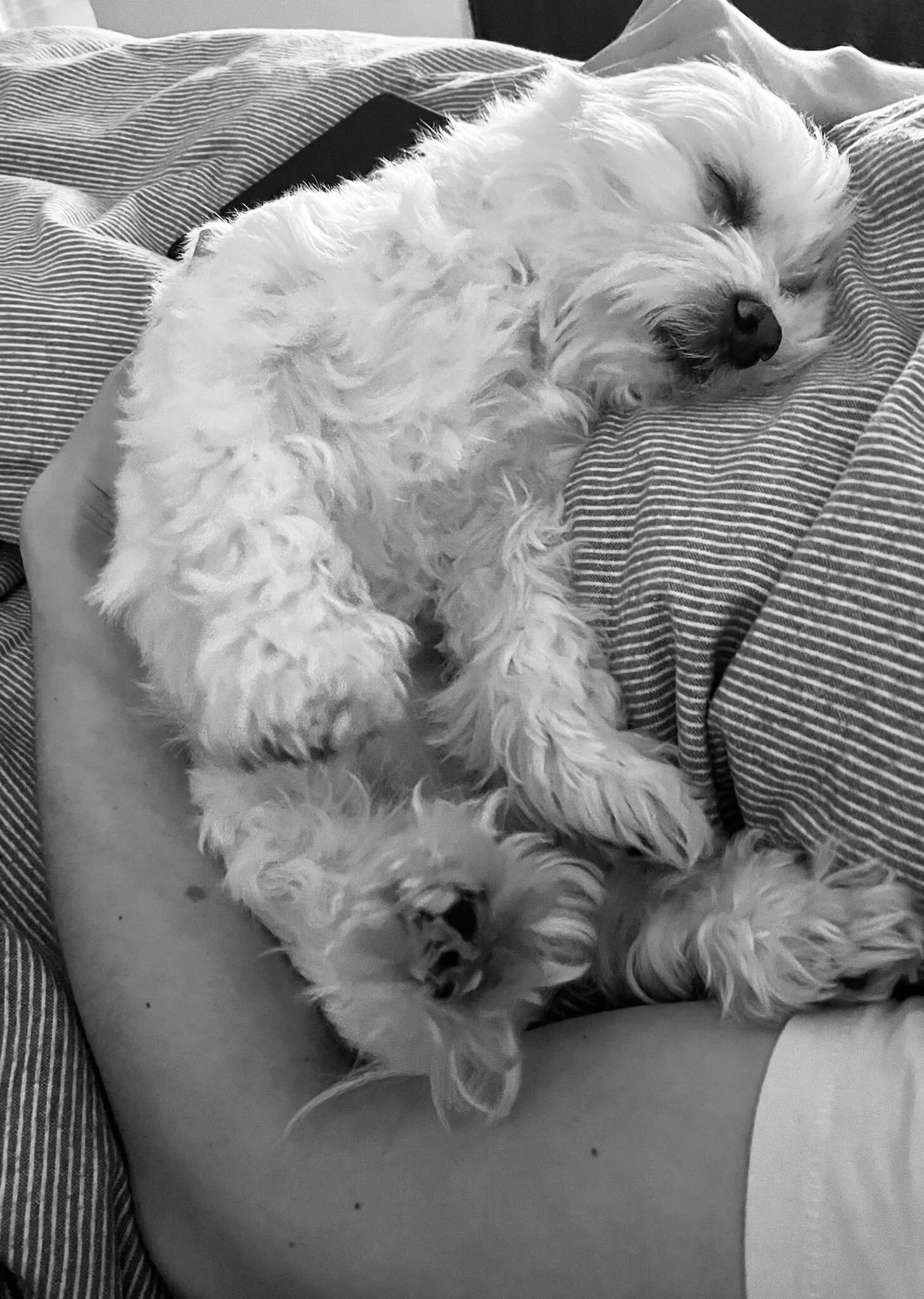 102054A7-4CC3-4029-A6BB-A56A2DFF0964