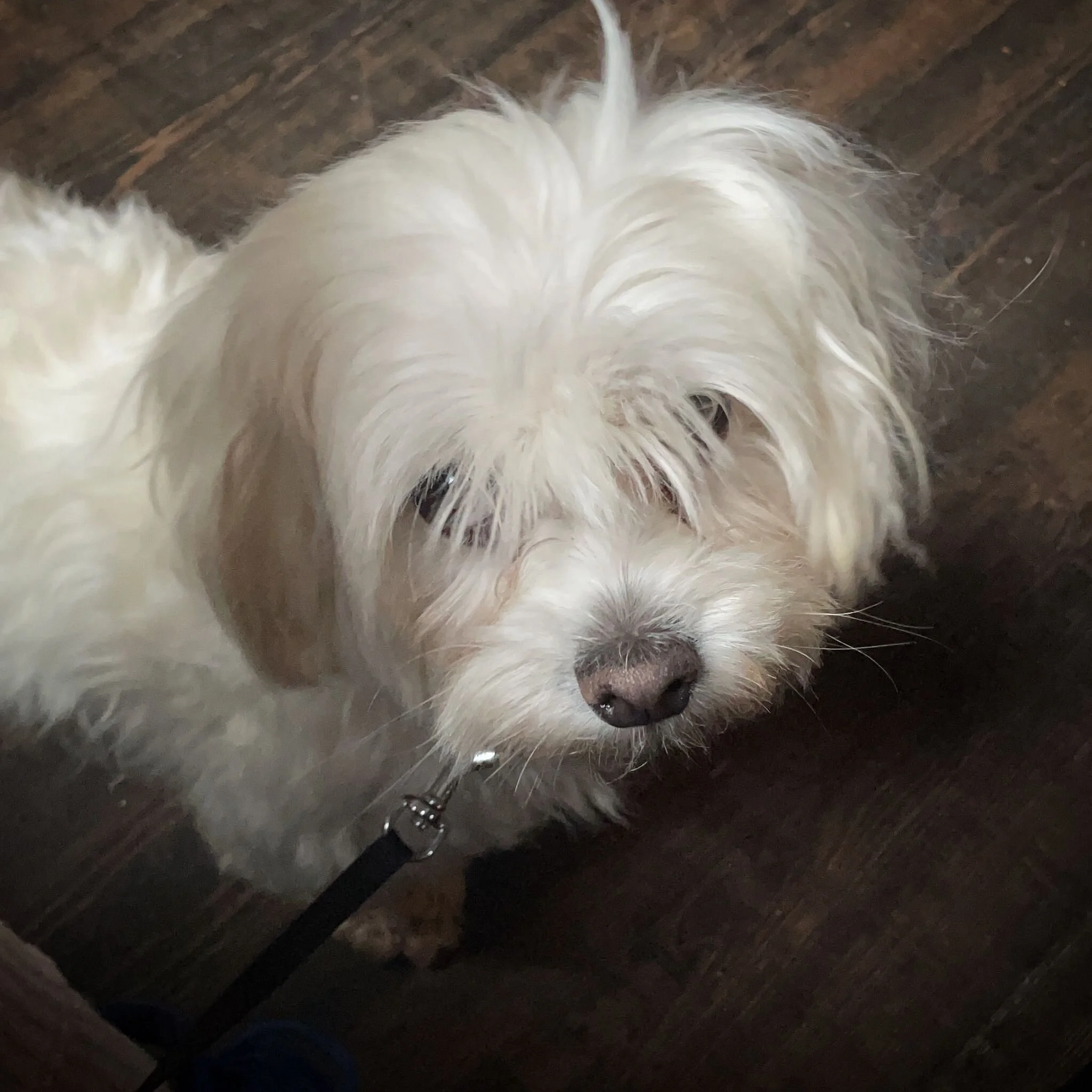 70AEDD03-7542-4D39-BFCE-5D595641C8FB