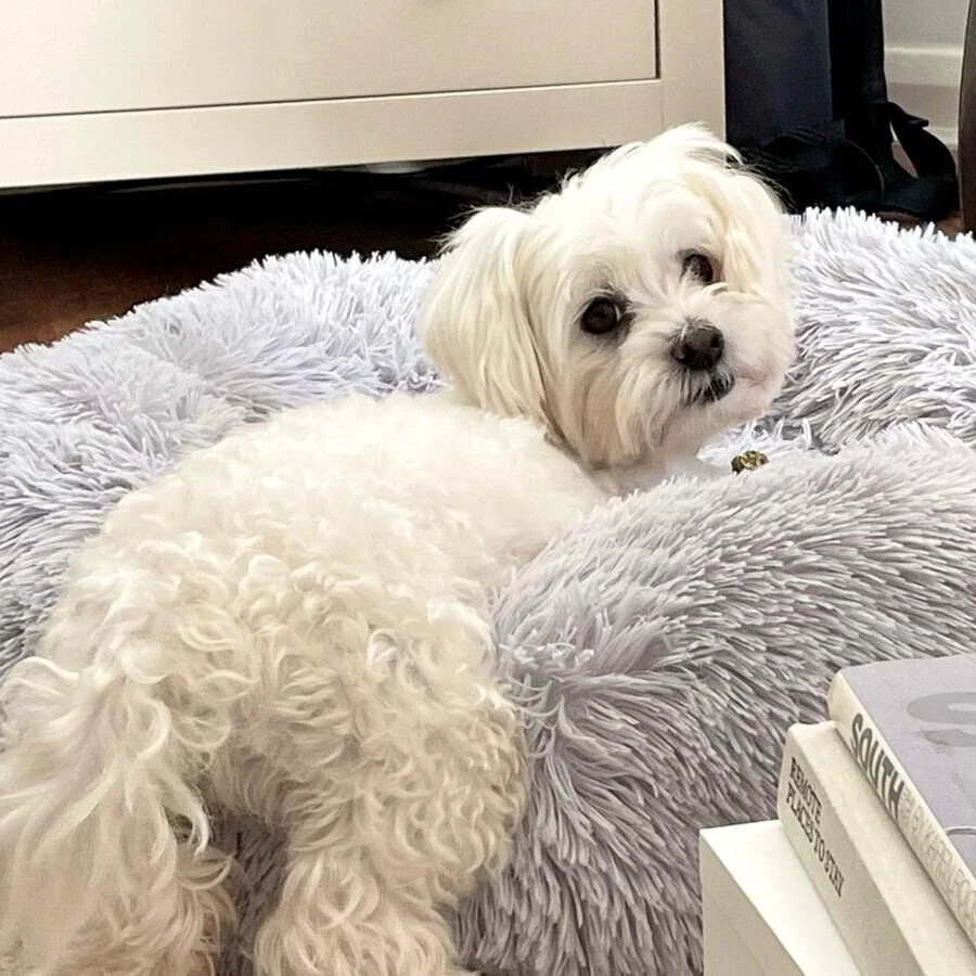 EC77E0A2-4C9F-4533-B070-2302BCF435A9