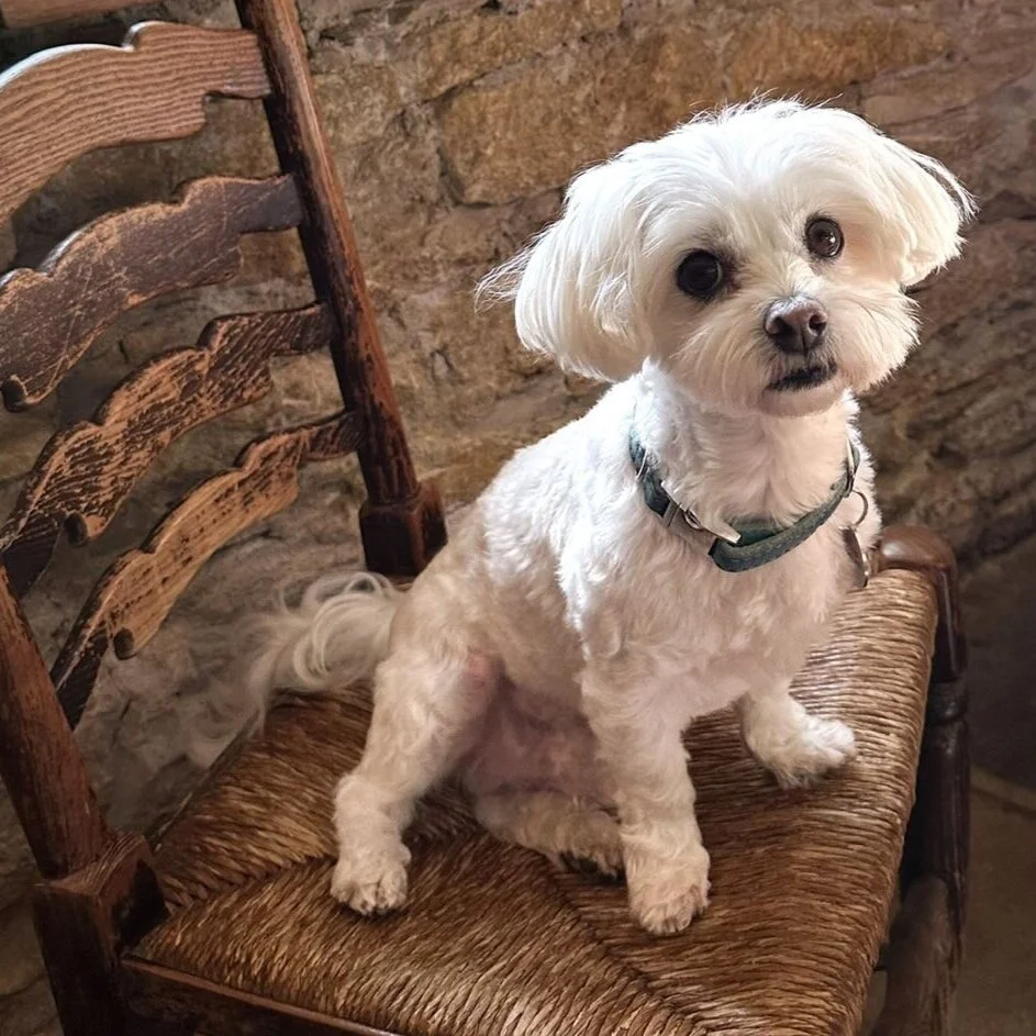 7F6275DB-8DA3-44FE-9961-E983EAE4E989