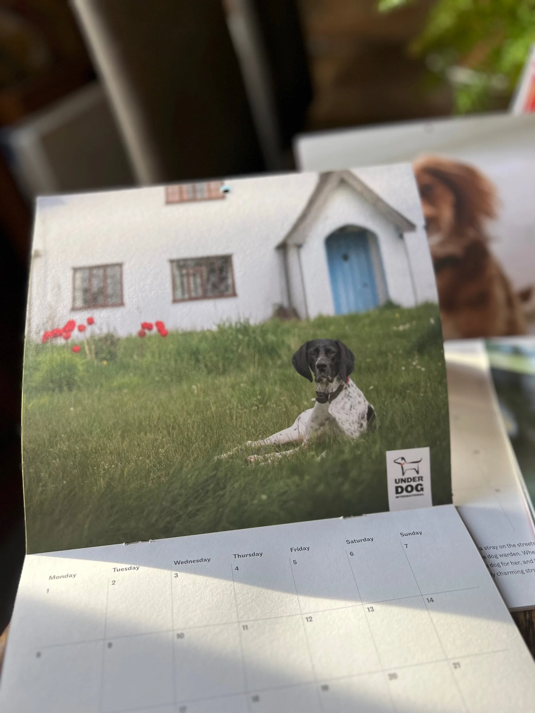 F842B29E-06DD-4C16-9DA8-BE629C4F80C3