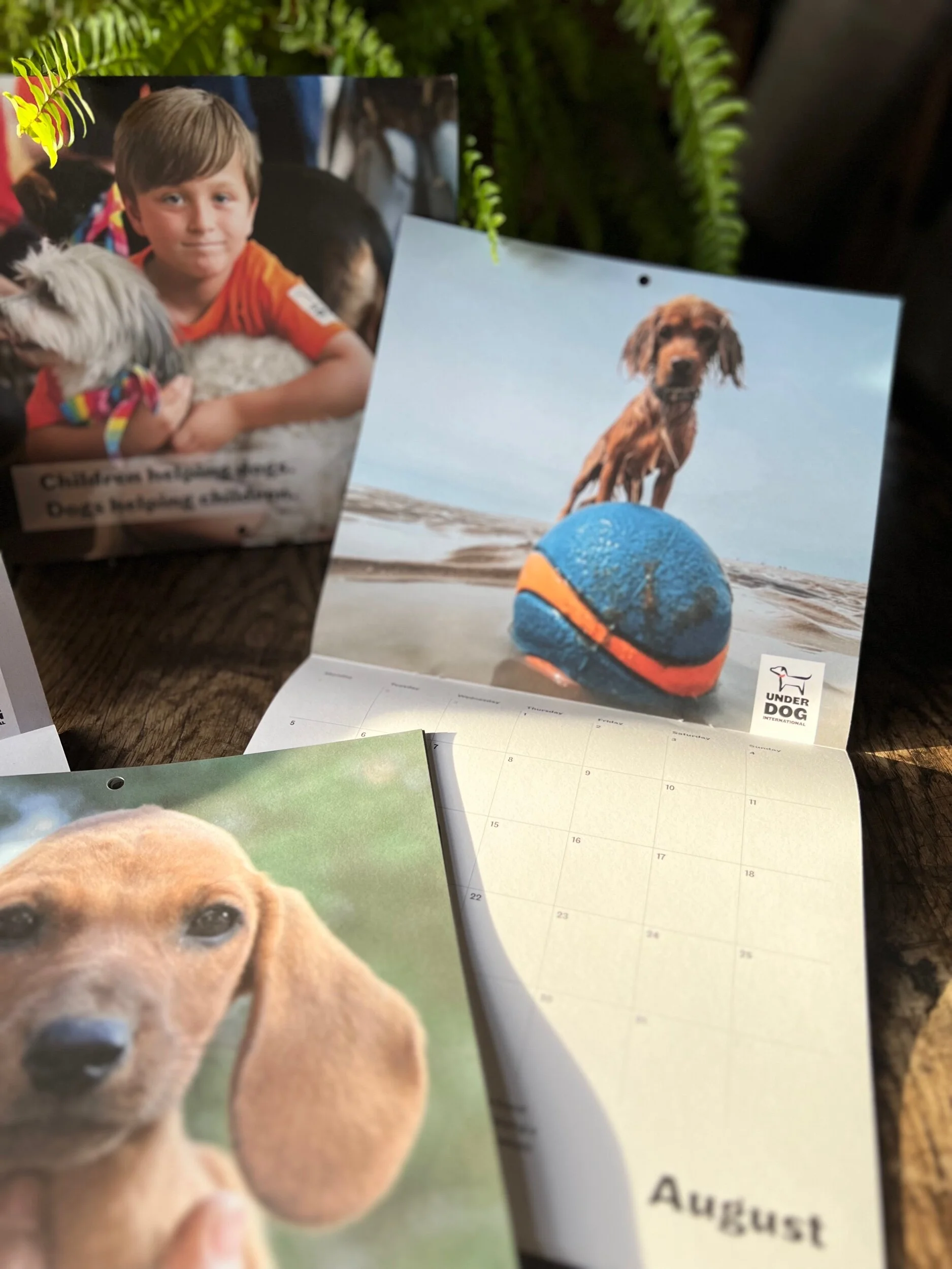 357B40E5-0362-4232-8B60-5E1EADC5C963