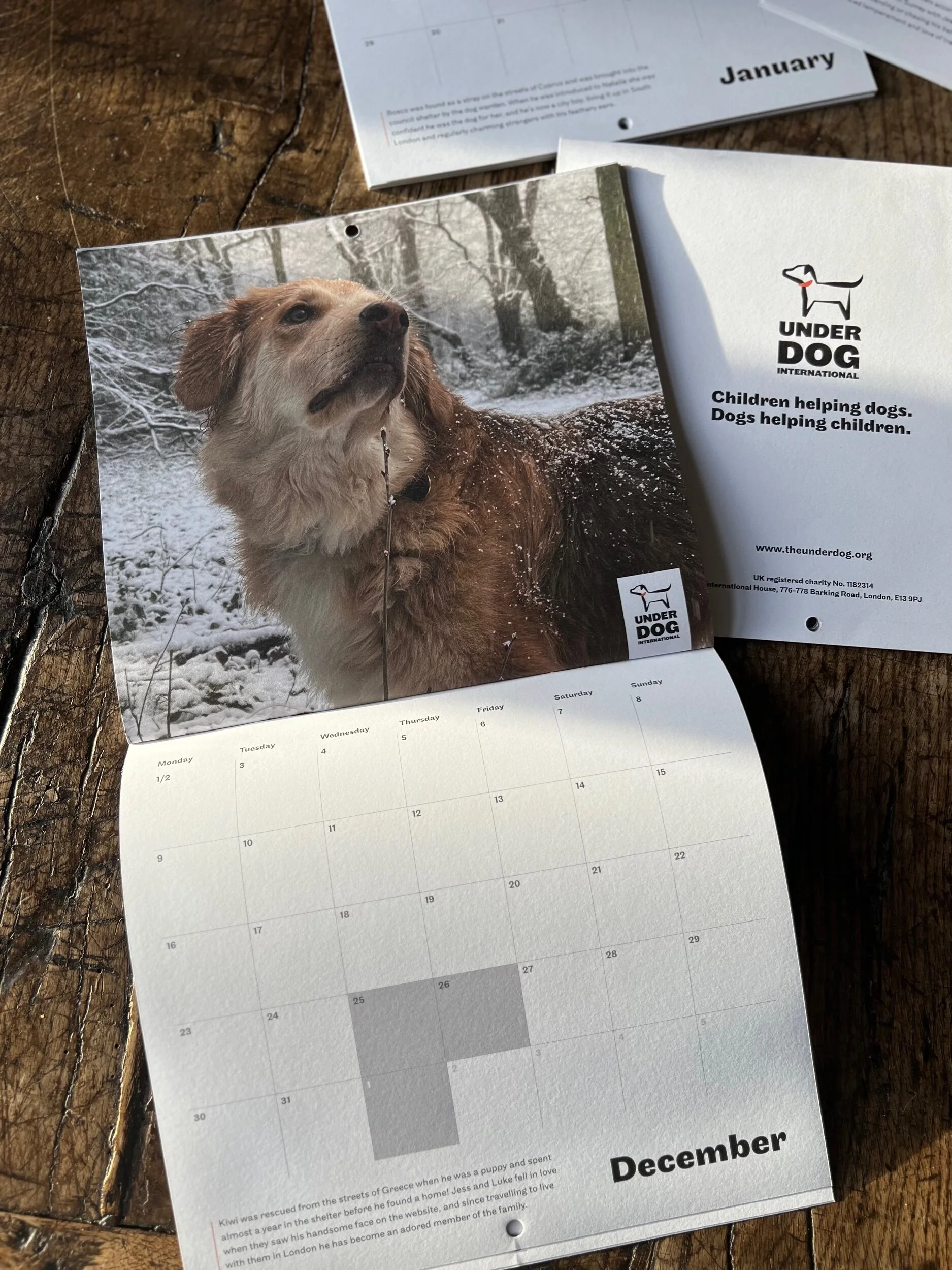 43200612-A9E7-49BE-AFB7-A75A45FA9C52