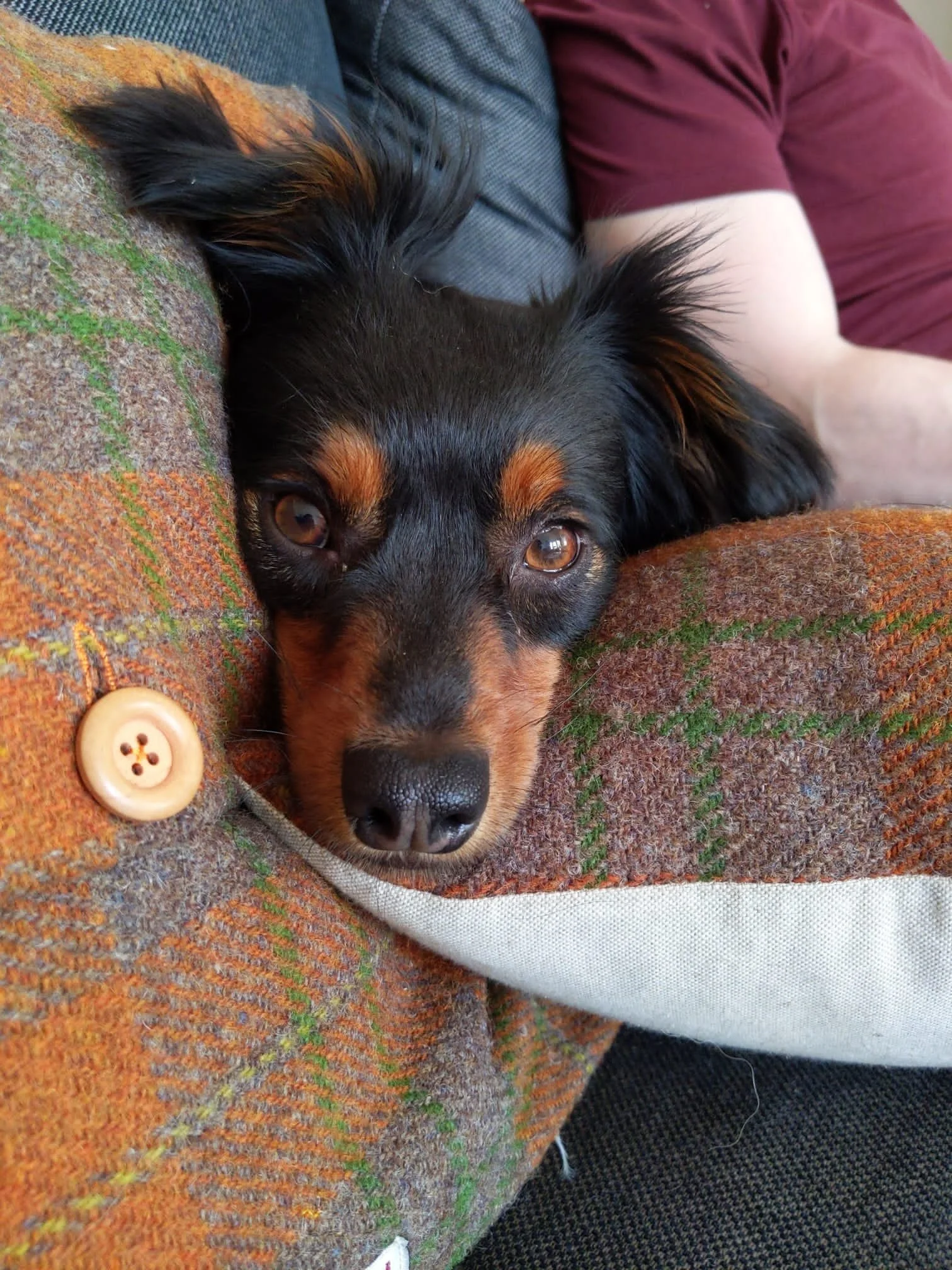 BD4A6FE1-2BC5-4EED-B9CB-FE119CCBAB2F