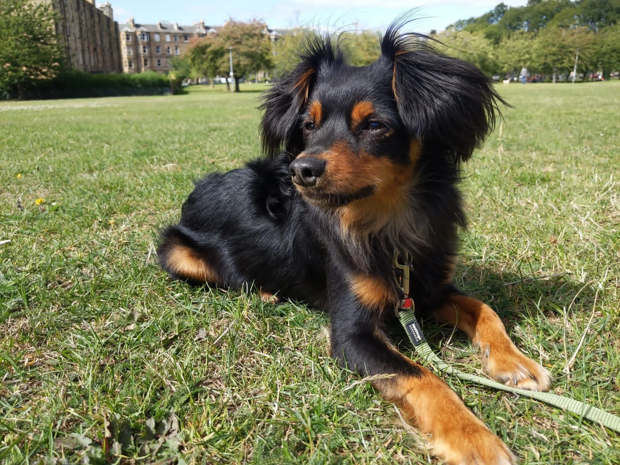 26873CE4-A34D-4CEA-A379-5BBCA9E8F13A