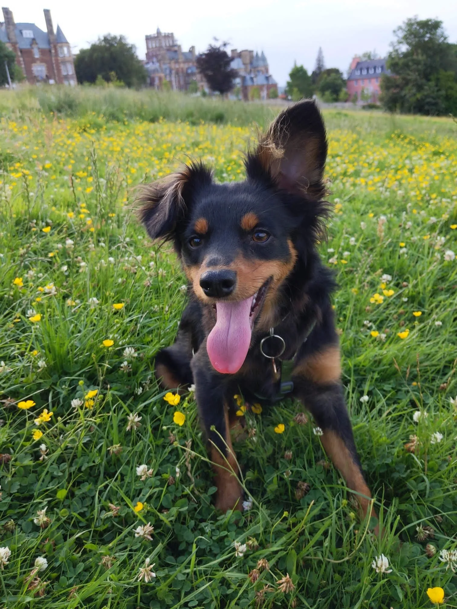 C3631197-73DC-4925-B17B-FA7D14B26369